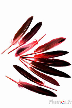 Gans - 12-18 cm - zalm roze-koffie